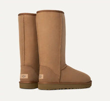 Load image into Gallery viewer, Ugg - Classic Tall II - In Chestnut